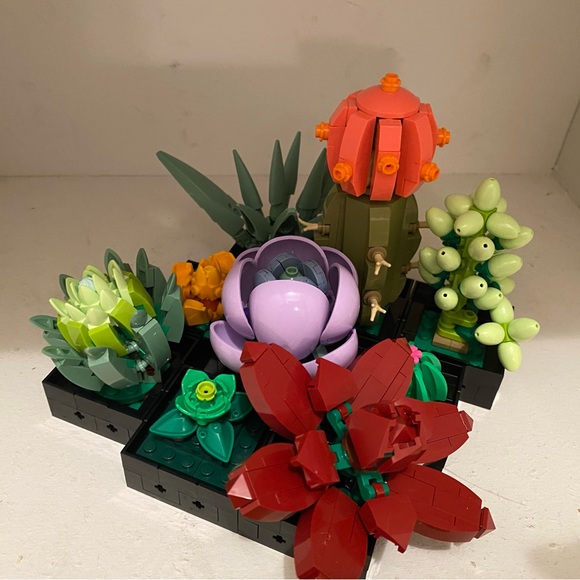 Lego Succulent Botanicals Collection - Picture 2 of 7